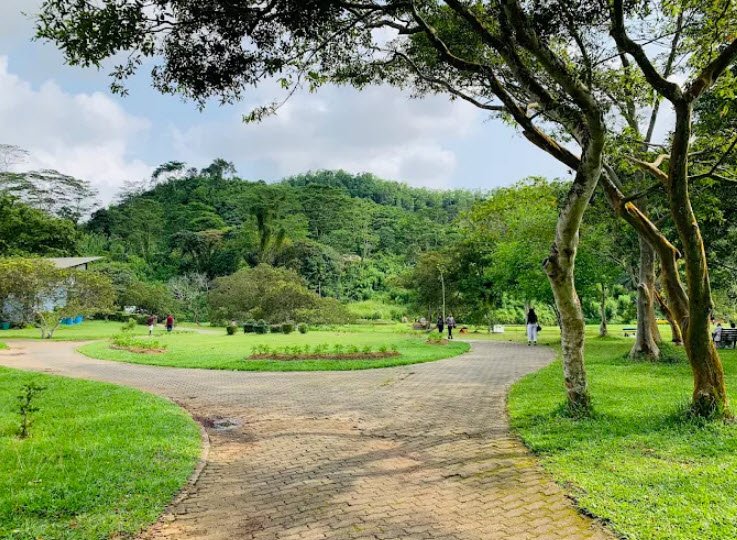 Seethawaka Wet Zone Botanical Gardens, Sri Lanka